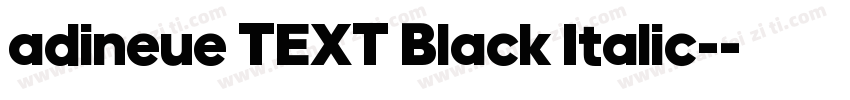 adineue TEXT Black Italic-字体转换